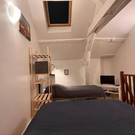 Duplex Centre-ville Au Calme Avec Parking Apartment *